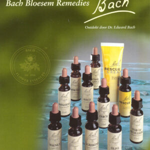 Bach Bloesems 2